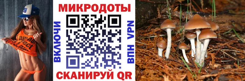 как найти наркотики  Татарск  Псилоцибиновые грибы GOLDEN TEACHER 